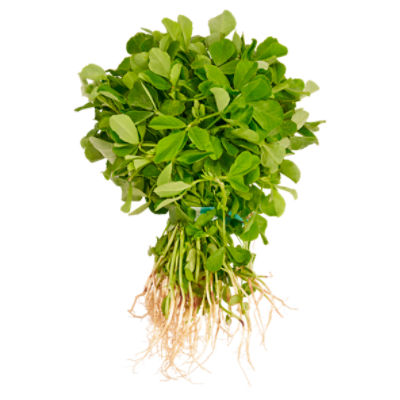 Fresh Methi Leaf, bunch