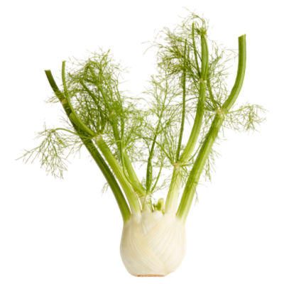 Anise Florence/Sweet Fennel/Fennel, 1 each, 1 Each