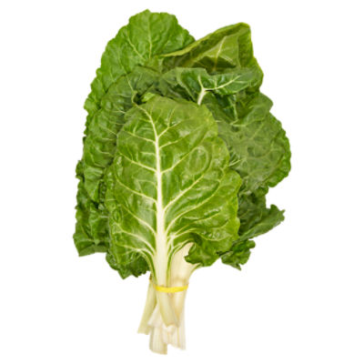Fresh Green Swiss Chard, bunch