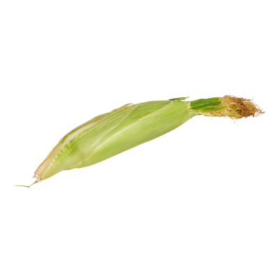 Bi-Color Corn, 1 each