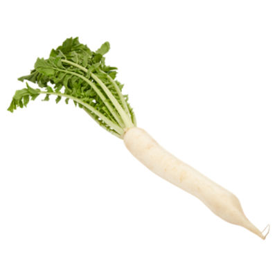 Fresh Daikon Radish