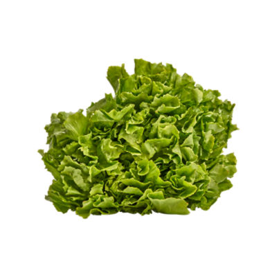 Fresh Escarole, each