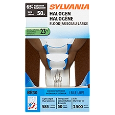 Sylvania 65W BR30 Halogen Flood Bulb