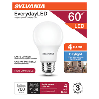 SYLVANIA EverydayLED 60W A19 Daylight 5000K Frosted 4pk, 4 Each