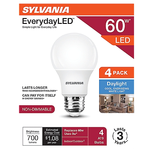 SYLVANIA EverydayLED 60W A19 Daylight 5000K Frosted 4pk