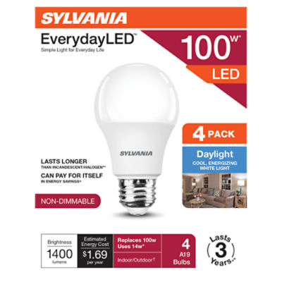 SYLVANIA EverydayLED 100W A19 Daylight 5000K Frosted 4pk, 4 Each