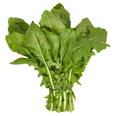 Fresh Dandelion Greens, bunch