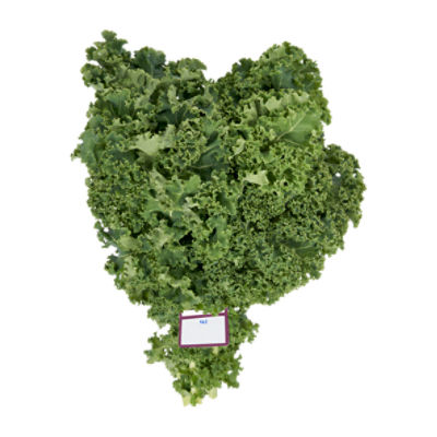 Fresh Green Kale, bunch