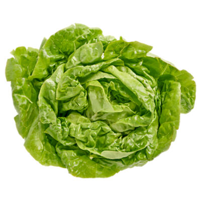 Fresh Boston Lettuce, each