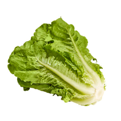 Romaine Lettuce, 1 ct, 20 oz, 20 Ounce