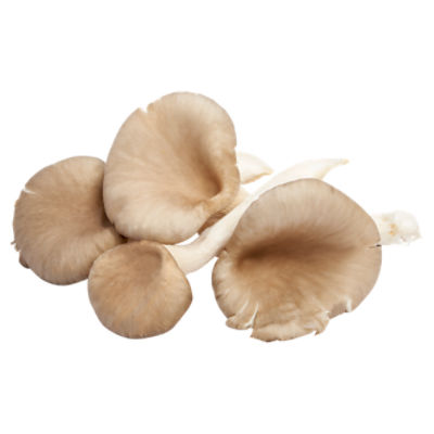 Oyster Mushrooms, 1 pound