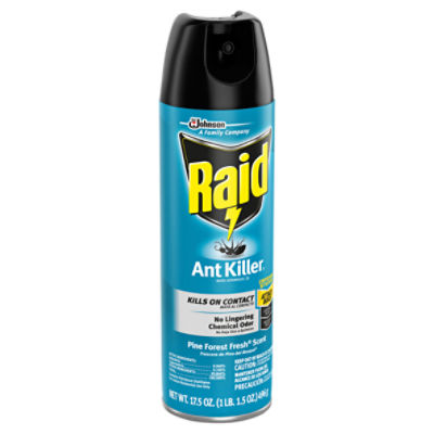 Raid Pine Forest Fresh Scent Ant Killer 26 Spray, 17.5 oz