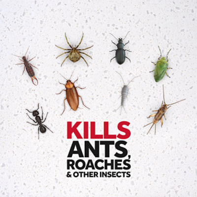 Raid Pine Forest Fresh Scent Ant Killer 26 Spray, 17.5 oz