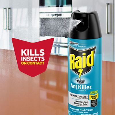 Raid Pine Forest Fresh Scent Ant Killer 26 Spray, 17.5 oz
