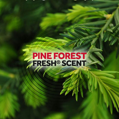 Raid Pine Forest Fresh Scent Ant Killer 26 Spray, 17.5 oz