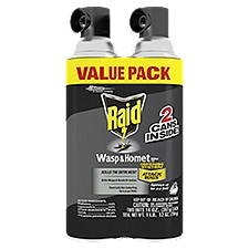 Raid Wasp & Hornet Insect Killer 33, 14 oz, 2 ct