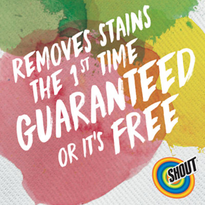 Shout Dye & Fragrance Free Laundry Stain Remover - Shop Stain