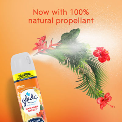 Glade ARoom Spray Air Freshener, Powder Fresh (8 oz Spray Can) – Good  Nature Deli