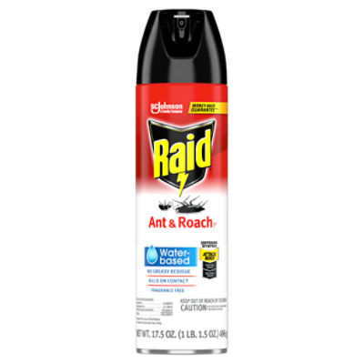 Raid Ant & Roach Aerosol Bug Spray, Water-Based Formula Insecticide No Greasy Residue, 17.5 oz