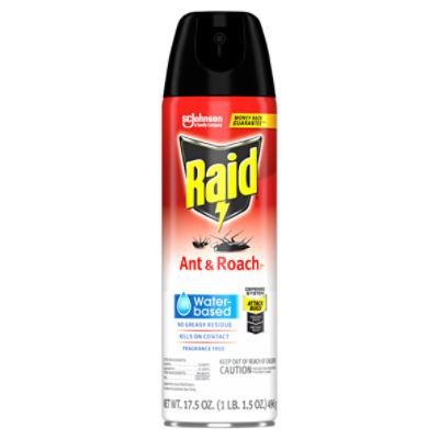 Raid Ant & Roach Aerosol Bug Spray, Water-Based Formula Insecticide No Greasy Residue, 17.5 oz