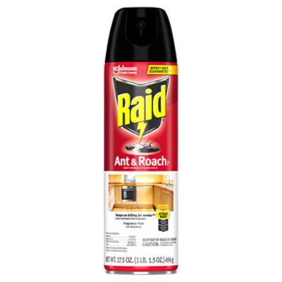 Raid Ant & Roach Killer 26, Aerosol Bug Spray Kills on Contact, Fragrance Free, 17.5 oz