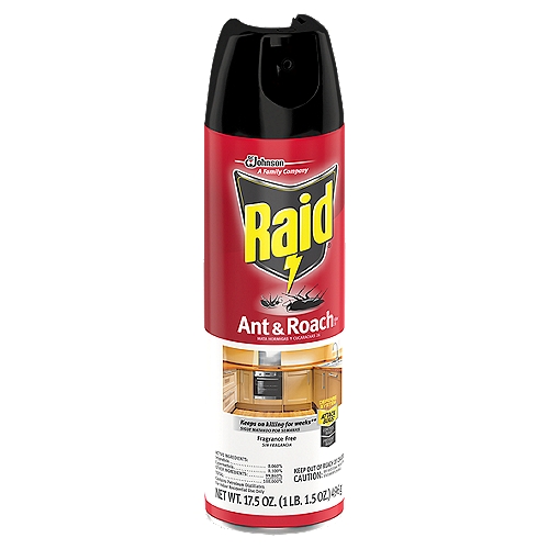 Raid Ant & Roach Killer 26, Aerosol Bug Spray Kills on Contact, Fragrance Free, 17.5 oz