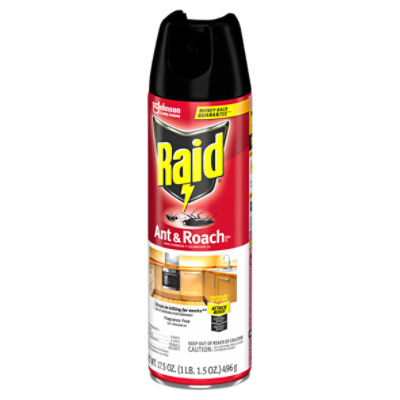 Raid Ant & Roach Killer, Indoor Insecticide, Residual Killing Power, Fragrance Free, 17.5 oz