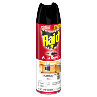 Raid Ant & Roach Killer, Indoor Insecticide, Residual Killing Power, Fragrance Free, 17.5 oz