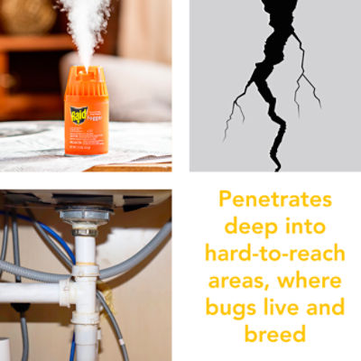 Using Bug Bombs On Spiders? Here's The Most Effective Way, 46 OFF