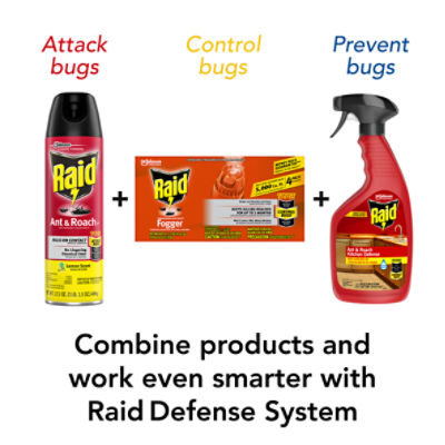 Are Raid Foggers Safe For Dogs