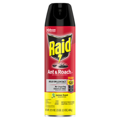 Raid Lemon Scent Ant & Roach Killer 26 Spray, 17.5 oz