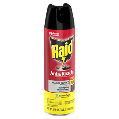 Raid Lemon Scent Ant & Roach Killer 26 Spray, 17.5 oz