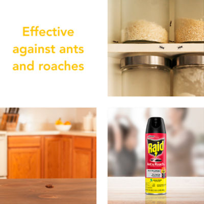 Raid Lemon Scent Ant & Roach Killer 26 Spray, 17.5 oz