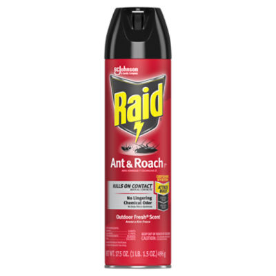 Raid Ant & Roach 26, Aerosol Bug Spray Kills on Contact, Outdoor Fresh Scent, 17.5 oz