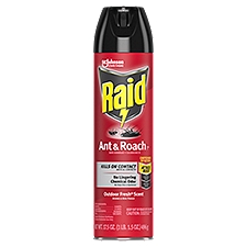 Raid Ant & Roach 26, Aerosol Bug Spray Kills on Contact, Outdoor Fresh Scent, 17.5 oz, 17.5 Ounce