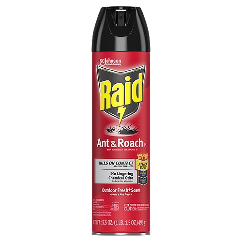 Raid Ant & Roach 26, Aerosol Bug Spray Kills on Contact, Outdoor Fresh Scent, 17.5 oz