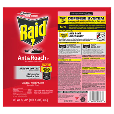 Raid Ant & Roach 26, Aerosol Bug Spray Kills on Contact, Outdoor Fresh Scent, 17.5 oz