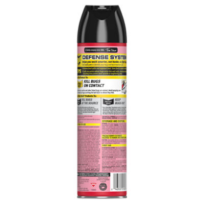 Raid Ant & Roach 26, Aerosol Bug Spray Kills on Contact, Outdoor Fresh Scent, 17.5 oz