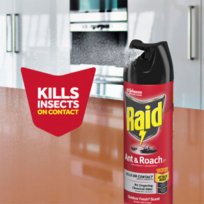 Raid Ant & Roach 26, Aerosol Bug Spray Kills on Contact, Outdoor Fresh Scent, 17.5 oz