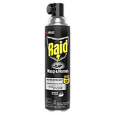 Raid Wasp & Hornet Insect Killer 33, 17.5 oz