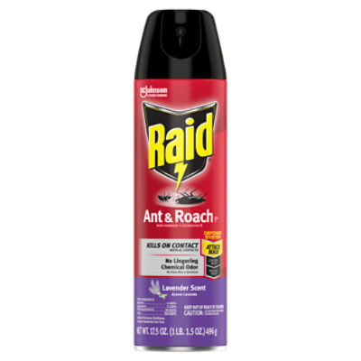 Raid Flea Killer Plus Carpet & Room Spray - 16oz : Target