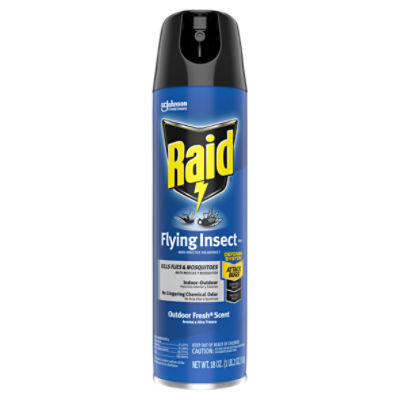 Raid Flying Insect Killer 7, Flying Insect Spray Can, 18 oz