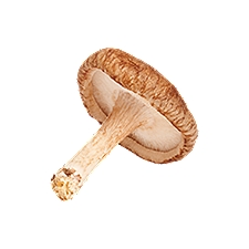 Shitake Mushrooms, 1 pound