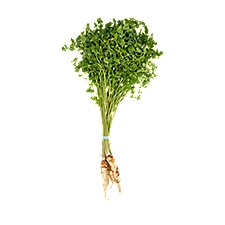 Parsley Root, 1 bunch, 1 each