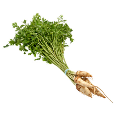 Fresh Parsley Root, bunch