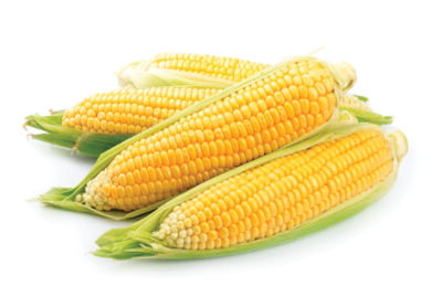 Fresh Bicolor Corn Tray, 4 ct