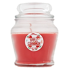 Apple Cinnamon Soy Blend Scented, Candle, 10 Ounce