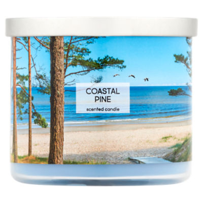 Star Candle Company Coastal Pine Scented Candle, 13 oz, 13 Ounce