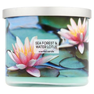 Star Candle Company Sea Forest & Water Lotus Scented Candle, 13 oz