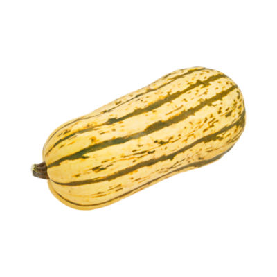 Fresh Squash Delicata